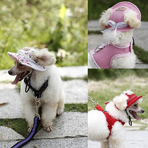 AFRUDDR Sombrero para Perros Gorra de Visera de Verano para Mascotas Cachorro Sombreros para Las Orejas Gorras para Productos para Mascotas al Aire Libre Chihuahua, Sombrero Azul Cielo, S