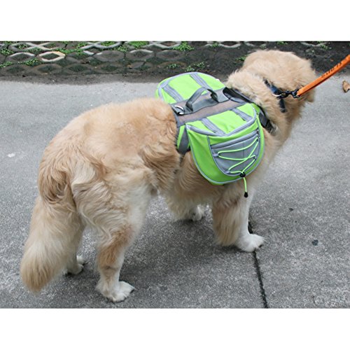 Alforja para mascota GossipBoy con correas de arnés ajustables para perro grande