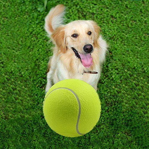 Alxcio Pet perro juguete pelota de tenis juguetes inflables de 9.5 pulgadas de gran tamaño gigante durable pelotas de tenis de goma para niños adultos grandes perros diversión
