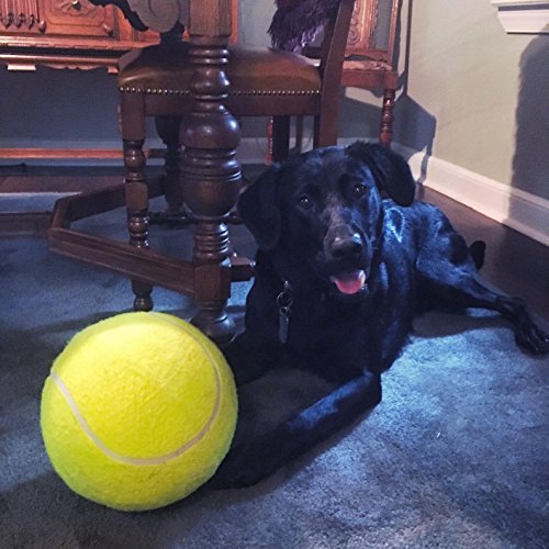 Alxcio Pet perro juguete pelota de tenis juguetes inflables de 9.5 pulgadas de gran tamaño gigante durable pelotas de tenis de goma para niños adultos grandes perros diversión