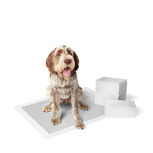 AmazonBasics - Empapadores de adiestramiento para perros, carbón, extragrande, 30 unidades