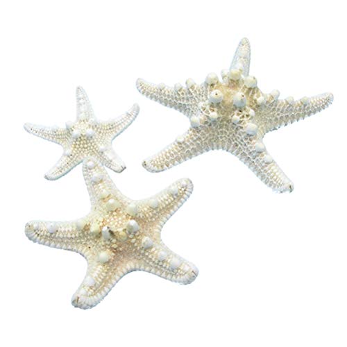 Amosfun 4pcs Estrellas de mar Naturales para Manualidades Shell Conch Wall Decoración de Jardines Decoración de Bodas para acuarios (5-8cm)