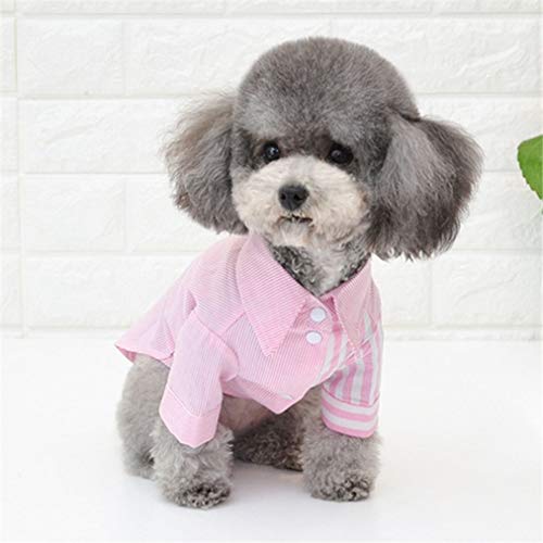 AMURAO Verano Mascota Camisa del Perro Pequeño Perrito Ropa Chihuahua Caniche Pomerania Gato Traje de Perros Transpirables