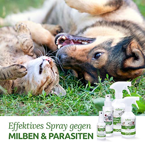 AniForte Spray antiácaros para Perros y Gatos 50 ml - Spray antiácaros para una Defensa eficaz contra Insectos y parásitos. Protección contra infestación de ácaros
