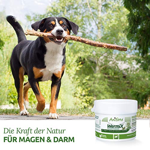 AniForte WermiX en polvo para perros 20 g - producto natural para antes, durante y después de la infestación de gusanos, el ajenjo y las hierbas naturales ayudan al estómago y el intestino