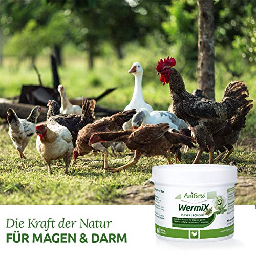 AniForte WermiX en polvo para pollos, gansos y patos 50g - antes, durante y después de la infestación de gusanos con saponina, sustancias amargas, taninos, ajenjo, armonizan el estómago y el intestino