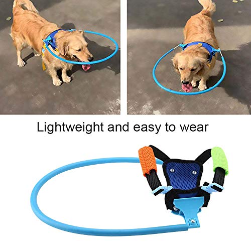 Anillo para mascotas Ciegos Anticolisión Cataratas Circulo protector de animales Guía Arnés para perros para medianos pequeños Discapacitados visuales Cachorro de perro Caminar al aire libre(XS)