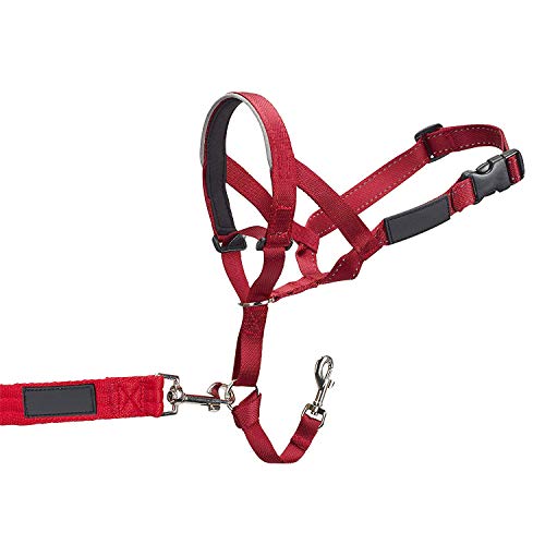 Anjing 1 Collar de Nailon para la Cabeza, fácil de Instalar y de Usar, Color Rojo