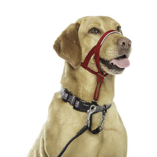 Anjing 1 Collar de Nailon para la Cabeza, fácil de Instalar y de Usar, Color Rojo