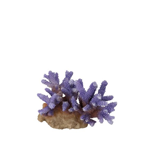 Aqua Della 234 – 431368 Acuario Decoración Coral acropora, Color Lila
