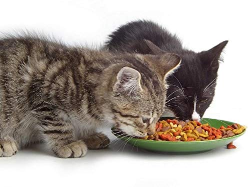 Arion Pienso Gatos Multimix Envase de 3 Kg. Alimento Completo equilibrado para la Salud y Belleza de su Gato.