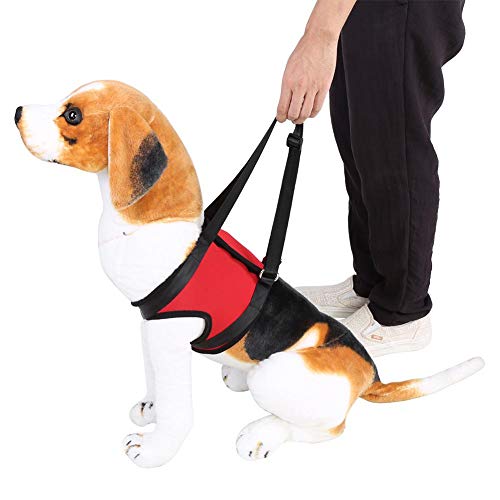 Arnés de apoyo delantero y trasero de elevación para perros lesionados o viejos