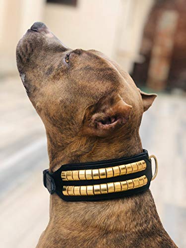 Astile Equine And Pet Supplies Collar de Piel con Tachuelas para Perro, Color Negro, Fuerte para el Personal Rottweiler Pit Bull Bulldog Terrier y Otros Perros Fuertes