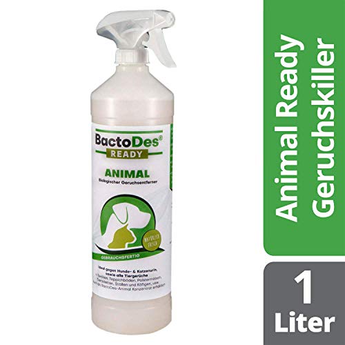 BactoDes Animal Ready – Eliminador de olores en espray, Listo para Usar, Limpiador enzimático contra la orina de Gatos, orina de Perros, olores de Animales