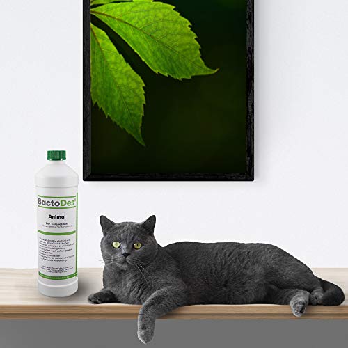 BactoDes - Eliminador de olores de Animales Animales – 1 litro, Incluye Botella de Mezcla – Eliminador de olores para orina de Gatos, orina de Perro y Animales pequeños