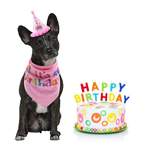 Bandana de cumpleaños de perro Minishark con lindo sombrero de fiesta de perro