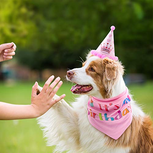 Bandana de cumpleaños de perro Minishark con lindo sombrero de fiesta de perro