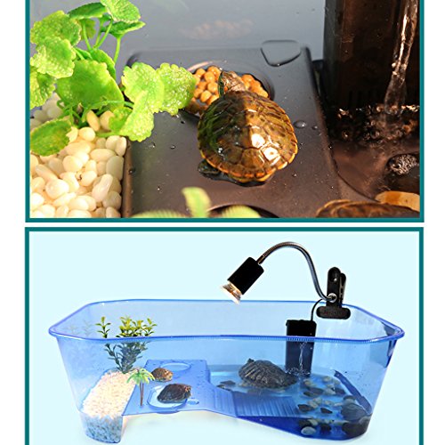 Baoblaze Caja de Alimentación Reptiles Tanque de Alimentación Tortuga Semi-Transparente Casa Mascota - Azul