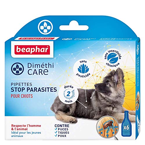 Beaphar - Pipetas de parásitos para cachorros, 6 pipetas para perros