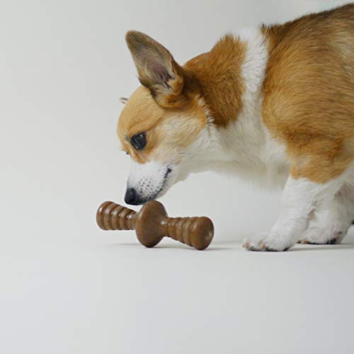 Benebone Zaggler - Juguete para masticar para perros, fabricado en Estados Unidos