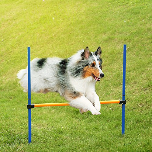 Benkeg Al Aire Libre para Mascotas Perro de la Agilidad de Deportes Juegos de Capacitación Equipo de Salto de Vallas Perros Bar obediencia Mostrar la Actividad Agilidad Ejercicio Polo Set