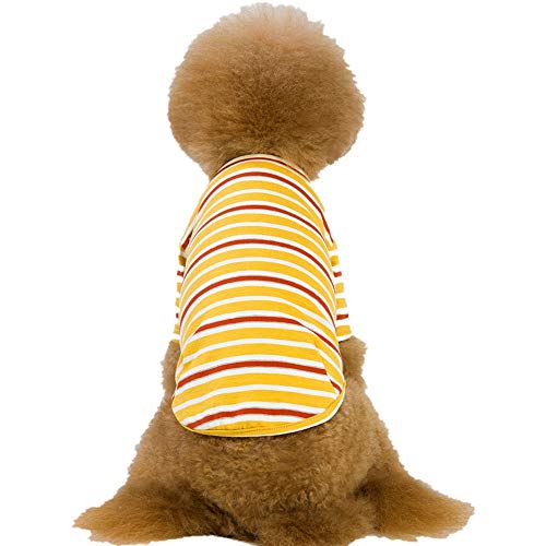 Berocia Ropa de Perro Camisetas para Perros Disfraz de Perro de Verano Cachorros Mascota Algodón Transpirable para Perros Grandes, medianos y pequeños (S, Amarillo)