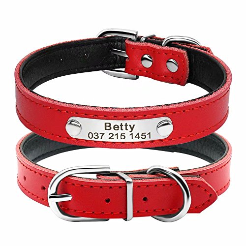 BERRY - Collar para Perro o Gato Acolchado de Piel sintética Suave, Color Azul/Rojo/Negro/Rosa, XS/S/M