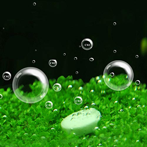 Biniwa Aquarium Co2 Tablet, Suplementos de dióxido de Carbono, difusor de Tanque de Peces, Plantas de Agua