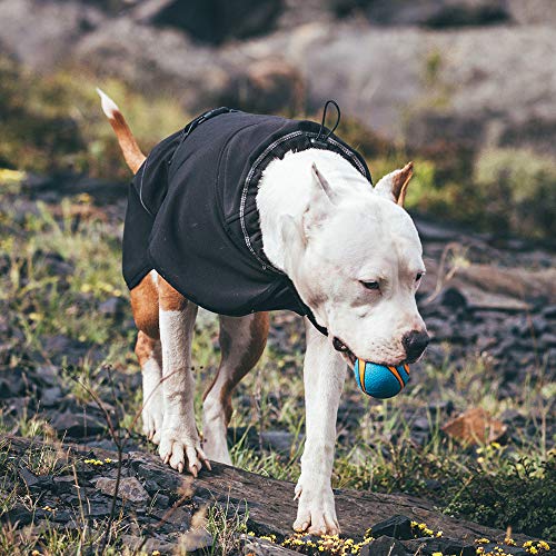 BLACKDOGGY Outdoor Sport Dog - Chaqueta con Cuello Alto Cold Weather Pets Apparel Invierno Caliente Coats Puppy Comfort Vest