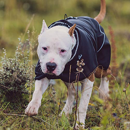 BLACKDOGGY Outdoor Sport Dog - Chaqueta con Cuello Alto Cold Weather Pets Apparel Invierno Caliente Coats Puppy Comfort Vest