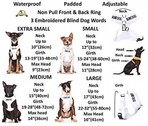 Blind Dog (perro tiene limitado/no tiene vista) color blanco sin tirones delantero y trasero anillo D acolchado y resistente al agua chaleco arnés para perro evita accidentes por advertencia de otros de su perro por adelantado