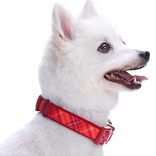Blueberry Pet Soft & Comfy Scottish Aileen Red Plaid Tartan Style Designer Padded Dog Collar, Small, Neck 30cm-40cm, Adjustable Collars for Dogs