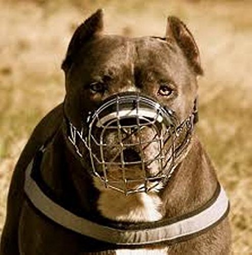 Bozal para Perro de Metal con Cesta de Alambre para Amstaff, Pitbull, Bull Terrier