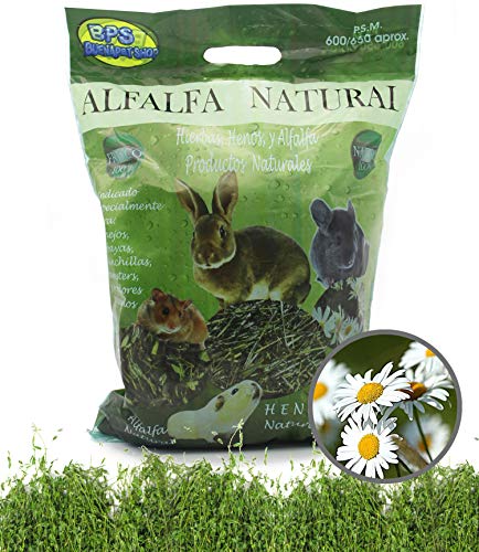 BPS Heno Alfalfa Natural Hierba Fresca para Mascotas Pequeñas 2 Modelo Elegir (Heno Alfalfa+Manzanilla 600/650g) BPS-35455