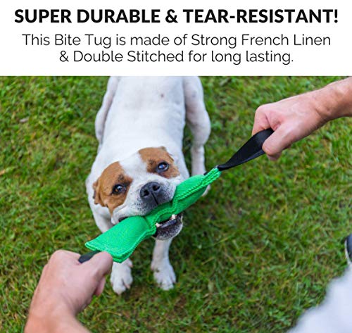 Bull Fit mordedor perro Cotton/NY, con dos asas, 30 cm - K9 dummy y motivador canino resistente y duradero - juguetes para perros de entrenamiento