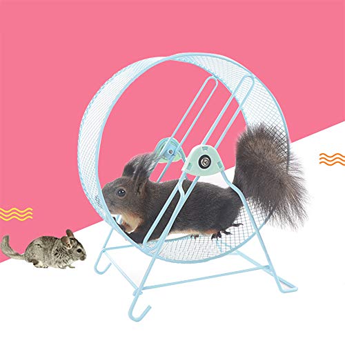 Bulz Pets - Rueda de ejercicio de metal, silenciosa, 25 cm, juguete grande para hámster, erizo, marmota