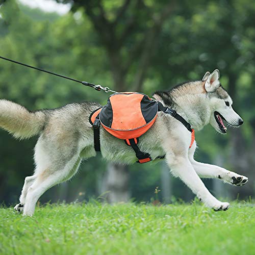 BZZBZZ Mascotas de Mochilas, Bolsas para Perros, Bolsas de Trabajo, Seguridad al Aire Libre, con Tiras Reflectantes, Mochila para Excursionismo de Viaje para Mascotas
