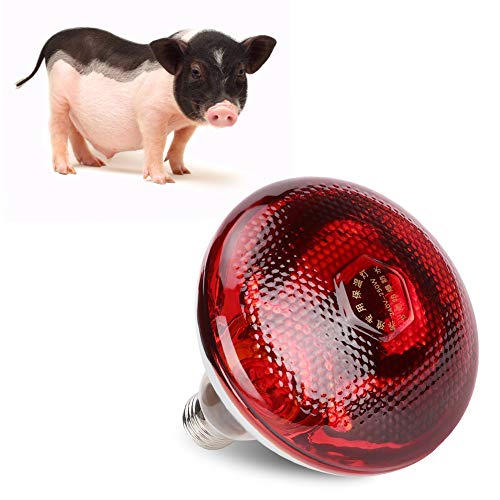 Calentador de gallinero, lámpara de Calor Bombilla de Vidrio Duro Rojo Bombilla para Pollo Cerdo Granja Mascotas Fisioterapia Baño en Invierno E27 Base(250W)