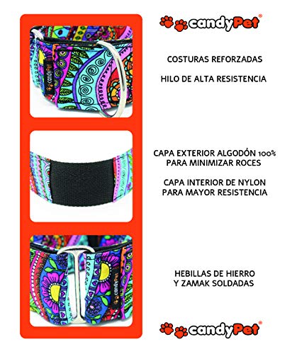 candyPet Collar Martingale para Perros - Modelo Calaveras Y Rosas, L
