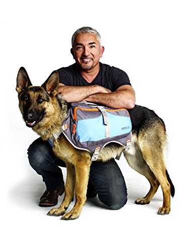 Cesar Millan Mochila para Perro | Bolsa de sillín para Perro para Entrenamiento | Peso del Perro para un Mejor Paseo