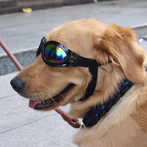 Cestlafit Gafas De Sol Para Perros De Mascotas, Gafas De Sol Para Perros, Lentes Para Perros Para Perros Grandes, Negro