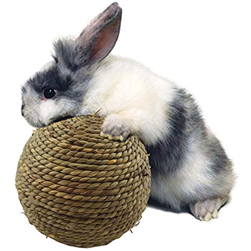 Chalkalon Bola de Hierba Natural Conejo Juguete Masticable para Mascotas Pequeñas Limpieza de Dientes para Conejos, Hámsters y Otras Mascotas Pequeñas