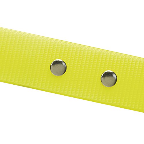 CHAPUIS SELLERIE SLA371 Collar Fluorescente de Perro - Correa de PVC Amarillo - Ancho 15 mm, Largo 35 cm, Talla S