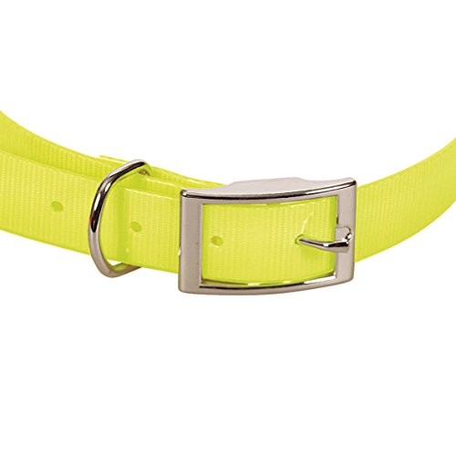 CHAPUIS SELLERIE SLA371 Collar Fluorescente de Perro - Correa de PVC Amarillo - Ancho 15 mm, Largo 35 cm, Talla S