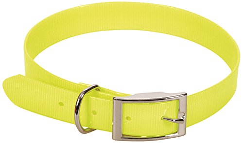 CHAPUIS SELLERIE SLA372 Collar Fluorescente de Perro - Correa de PVC Amarillo - Ancho 25 mm, Largo 55 cm, Talla L