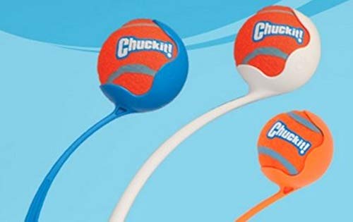 Chuckit Tennis Ball, 2 Pelotas para Perros Compatible con el Lanzador, Naranja, M, 2