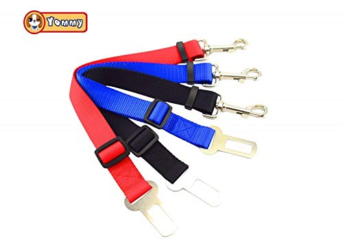 Cinturón de coche para perro ajustable en varios colores con enganche mosquetón