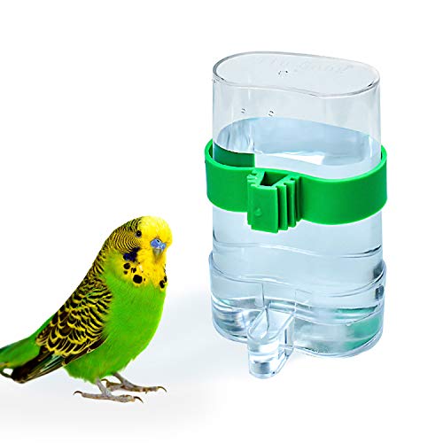 COCOCITY - Dispensador de Agua para pájaros y Loros, Dispositivo de alimentación automática para periquitos, periquitos, cacatúas
