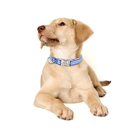 Collar de perro de perro de nylon collar collar Identificación Personazlied collares de perro personalizada tela escocesa del animal doméstico for los pequeños perros medianos gratuito Grabado Nombre