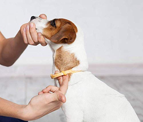 Collar De Perro,Cuello De Perro Suave Y Cómodo Ajustable para Mascotas Collar De Mascota De Cinta De Cuero Azul Personalizado para Perros Collar De Perro Mascota para Perros Pequeños Y Medianos CAC